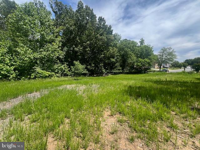 2601 John A Thompson Road Temple Hills, MD 20748 - Photo 4 of 7 a view of a green field with plants and trees in the background