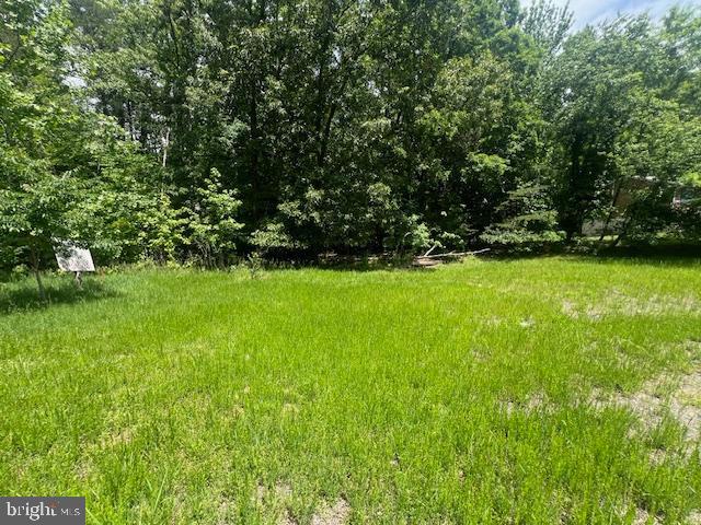 2601 John A Thompson Road Temple Hills, MD 20748 - Photo 5 of 7 a view of a green yard