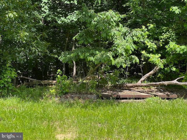 2601 John A Thompson Road Temple Hills, MD 20748 - Photo 6 of 7 a backyard of a house with lots of green space