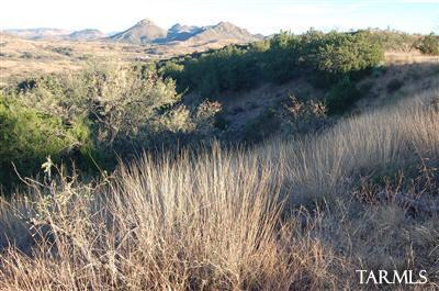 Lot D Lot D Stevens Ranch Road Patagonia, AZ 85624 - Photo 8 of 26