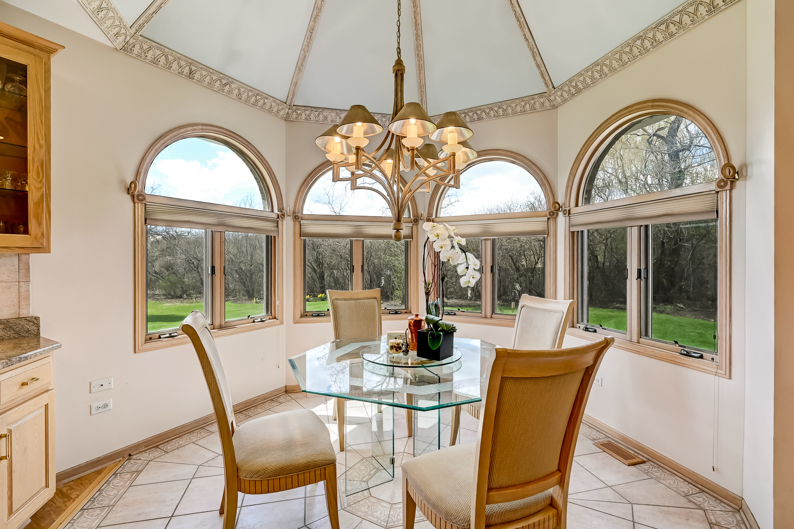 9150 Falling Waters Drive West Burr Ridge, IL 60527 - Photo 12 of 49