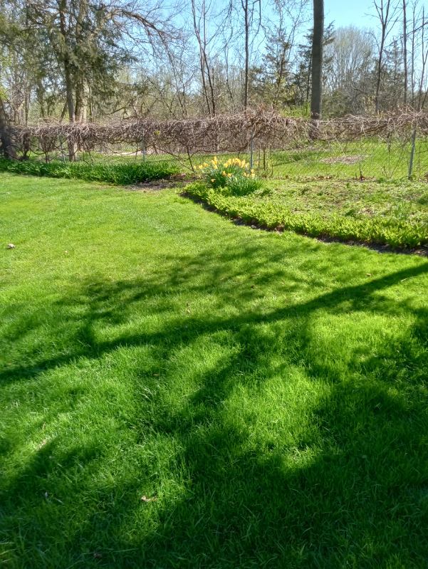 40821 North Ridge Circle Antioch, IL 60002 - Photo 6 of 30 Gallery Image 6