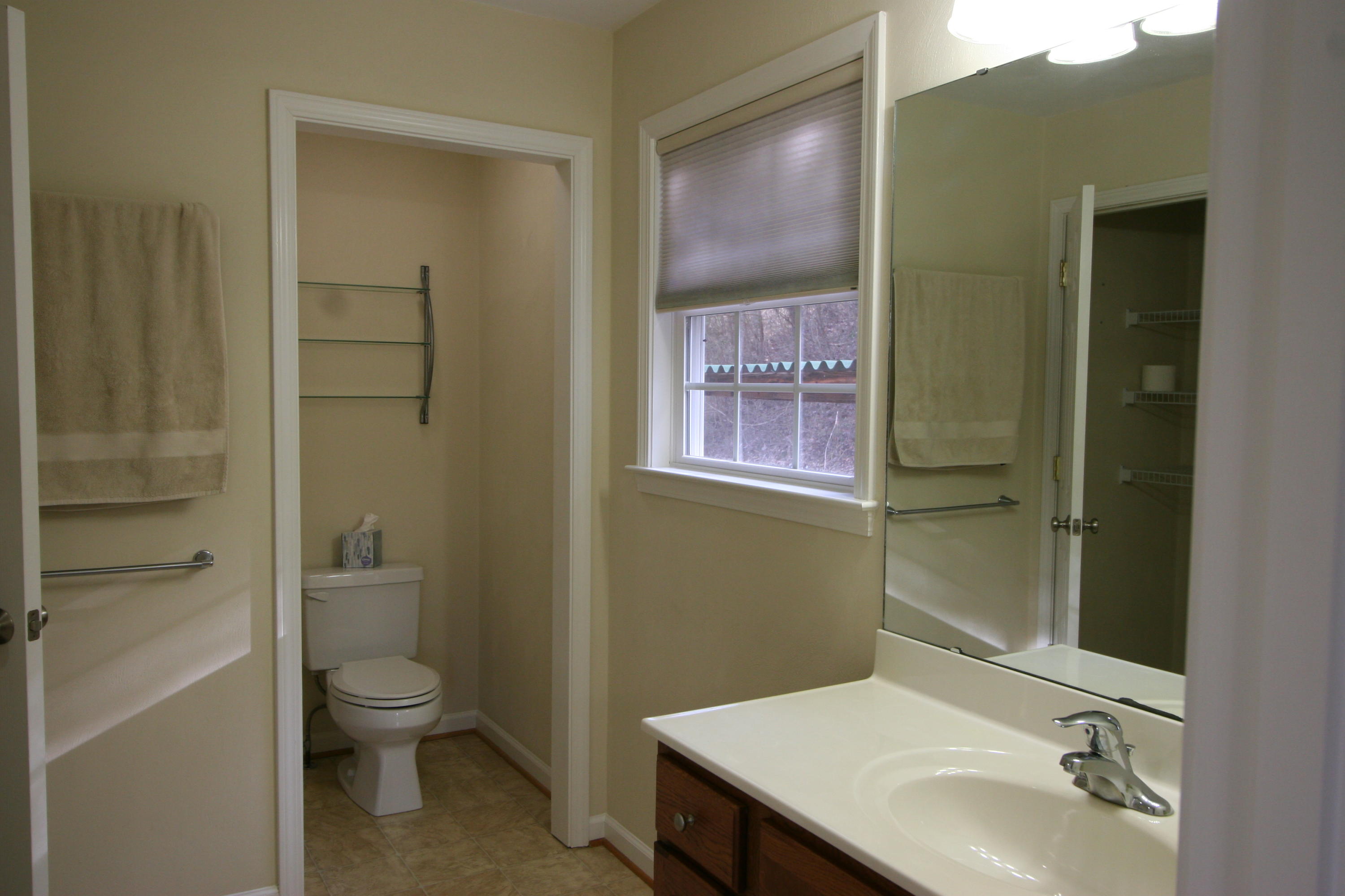 3775 Read Mountain Road Cloverdale, VA 24077 - Photo 19 of 42 21 Master Bath
