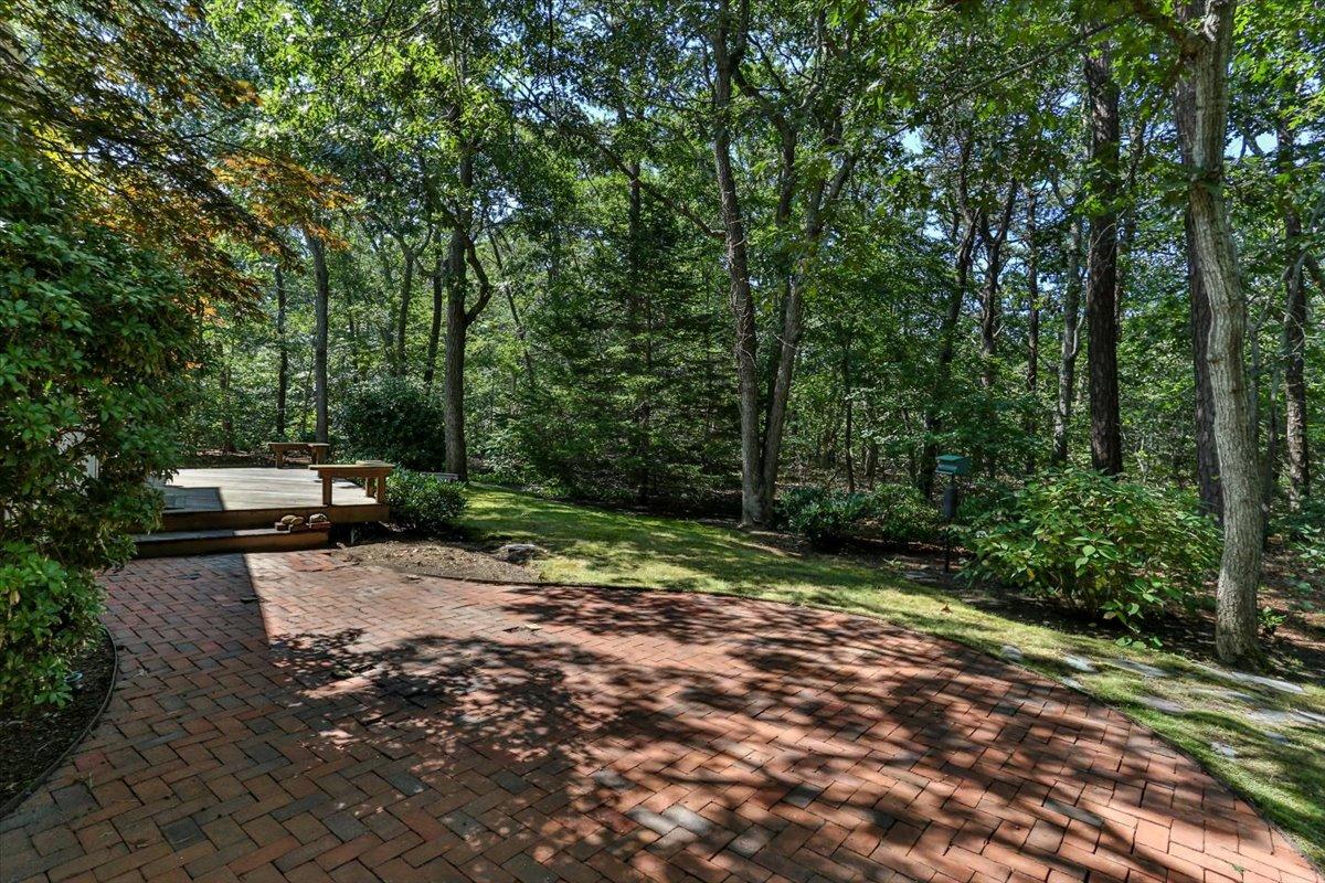 45 Danielle Drive Eastham, MA 02642 - Photo 34 of 42 a view of a backyard with trees