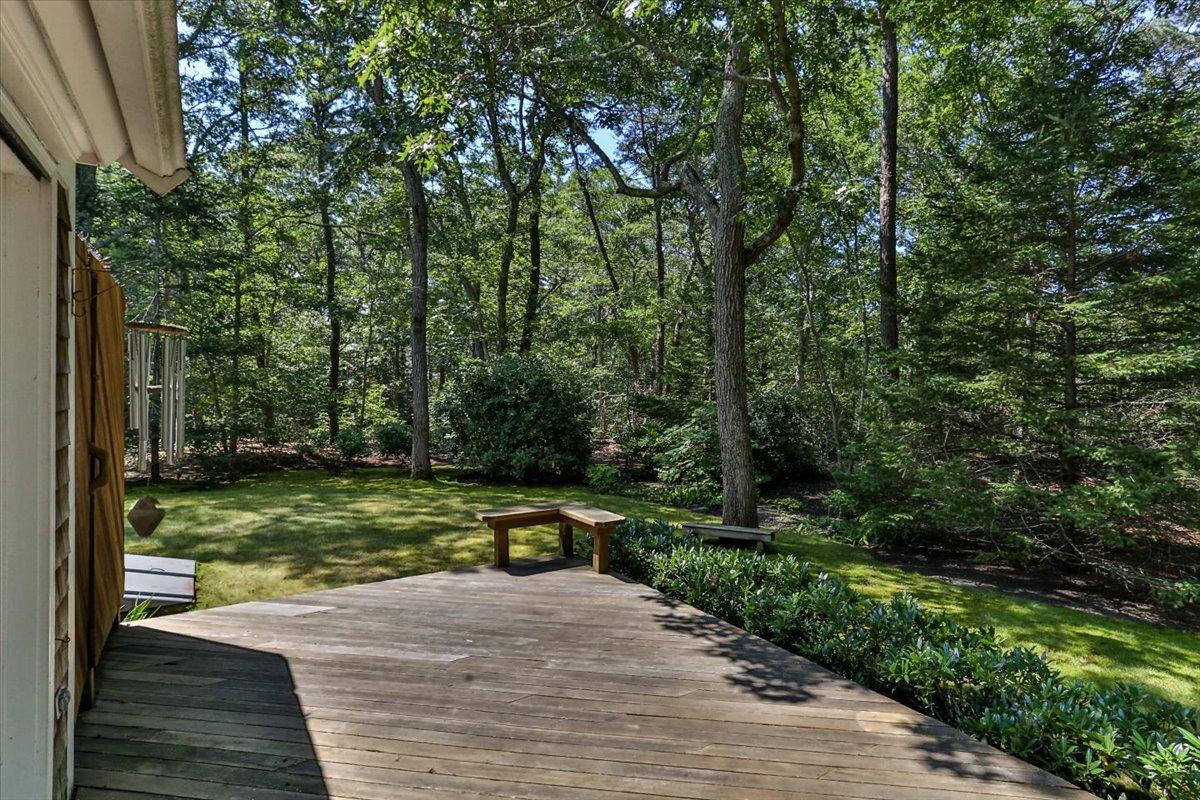 45 Danielle Drive Eastham, MA 02642 - Photo 41 of 42 a view of a yard with plants and trees