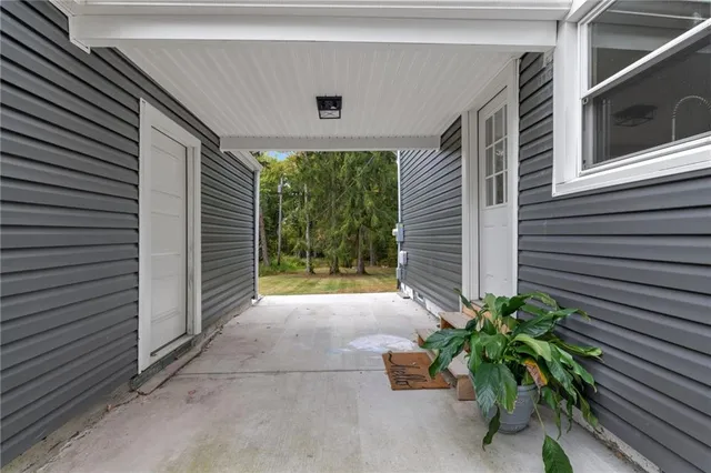 a potted plant sitting in front of a house