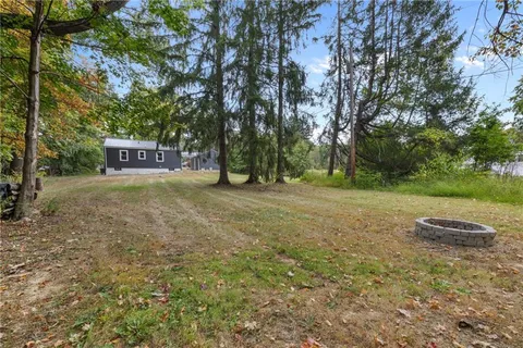 a view of a yard with a tree