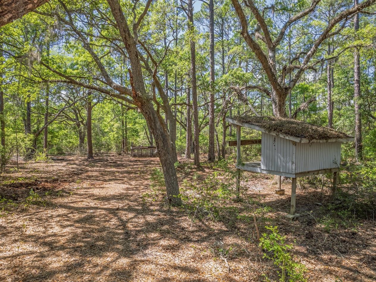 123 Carter Road Crawfordville, FL 32327 - Photo 34 of 39