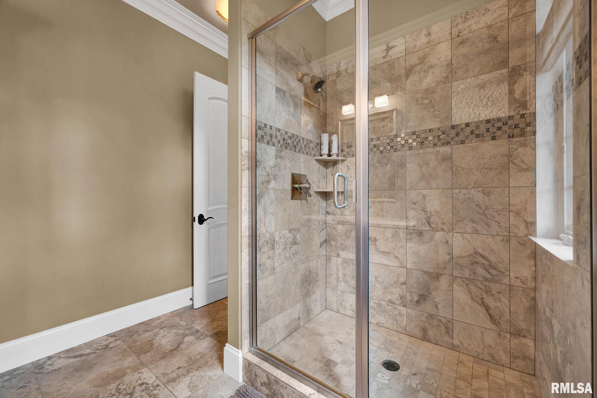 12925 Woodland Ridge Drive Dunlap, IL 61525 - Photo 52 of 100