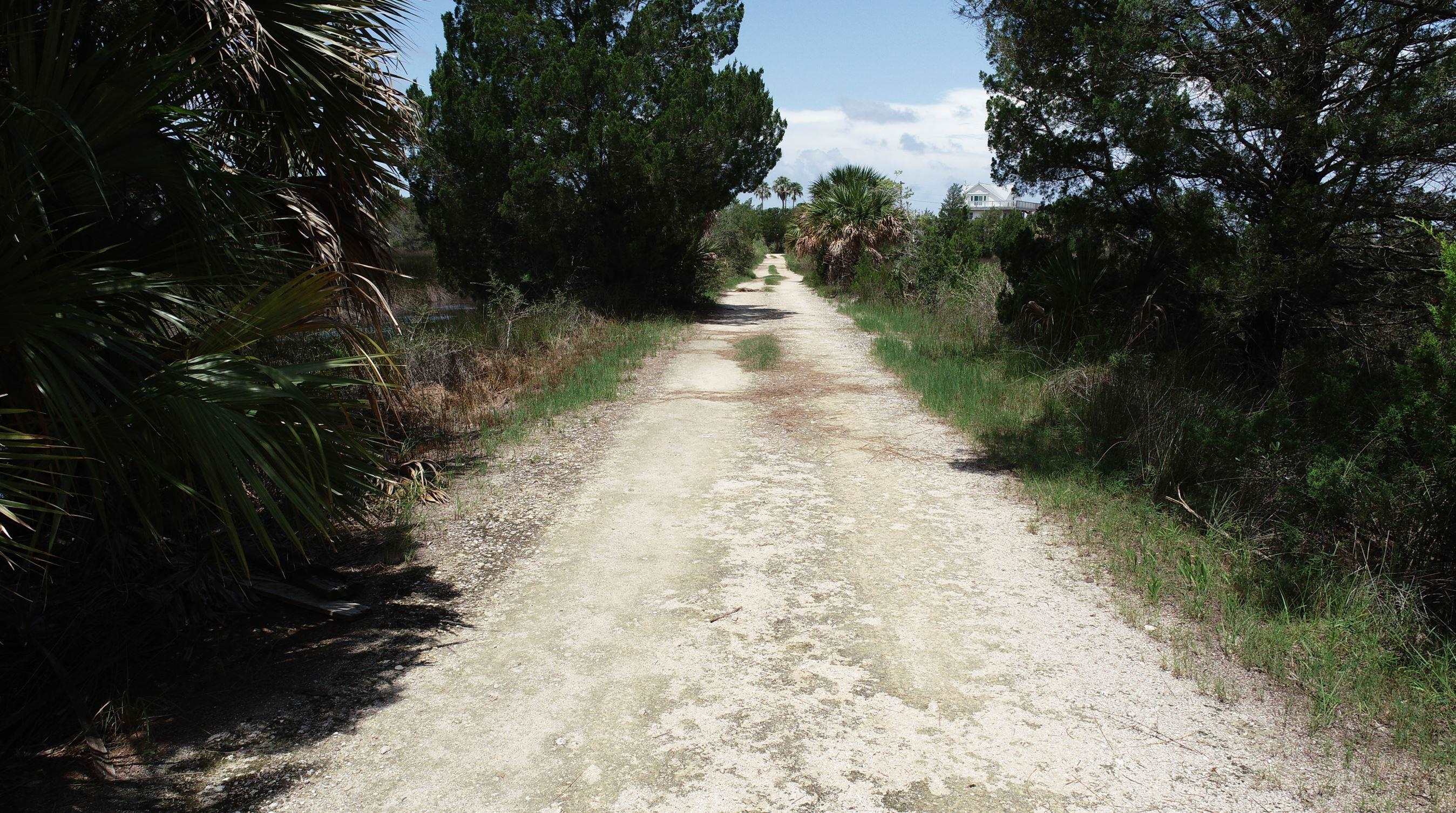 0 Tern Road Perry, FL 32348 - Photo 4 of 11 Gallery Image 4