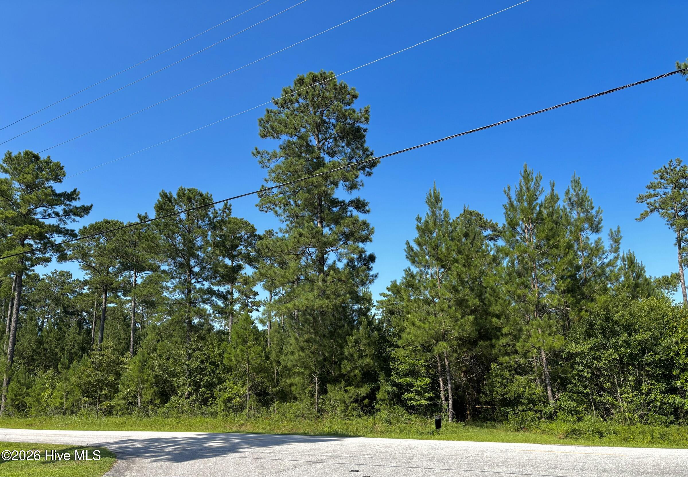 0 Lee Rogers Road Hubert, NC 28539 - Photo 3 of 4