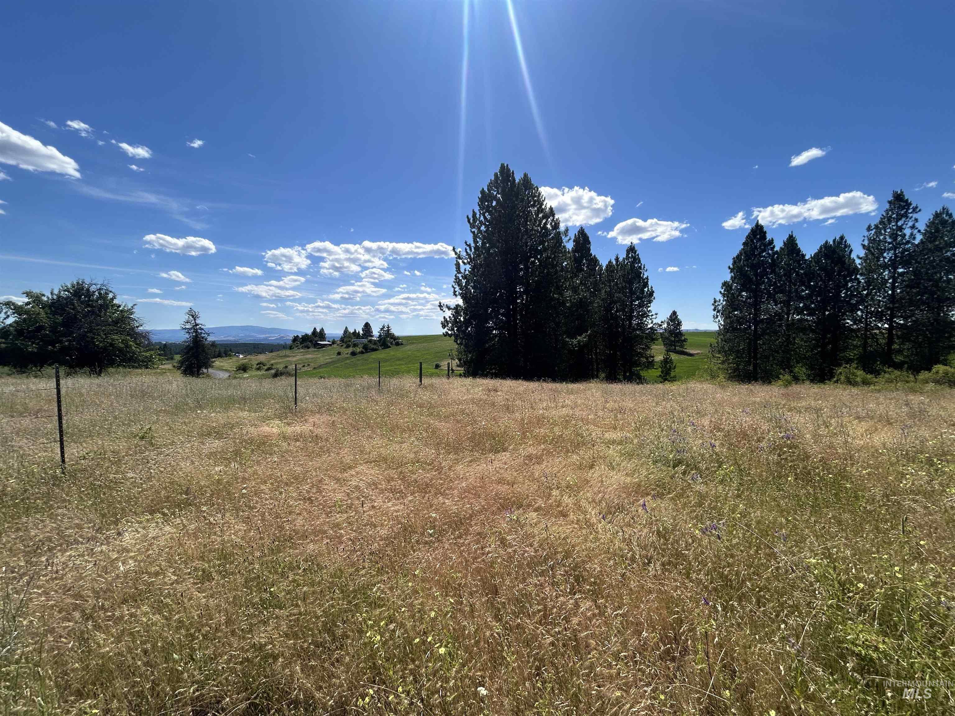 Tbd Lot 1 Tbd Road Kooskia, ID 83539 - Photo 8 of 13