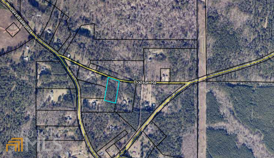0 Dodson Road Flovilla, GA 30216 - Photo 1 of 1 Gallery Image 1