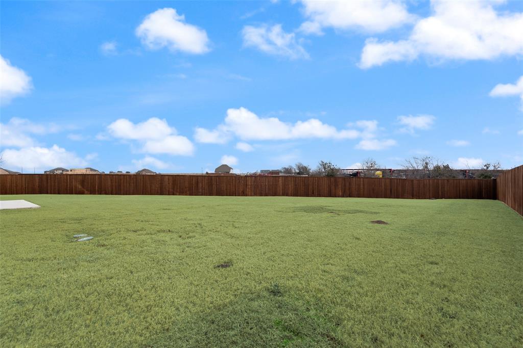 1411 Lowe Pond Street Forney, TX 75126 - Photo 30 of 33