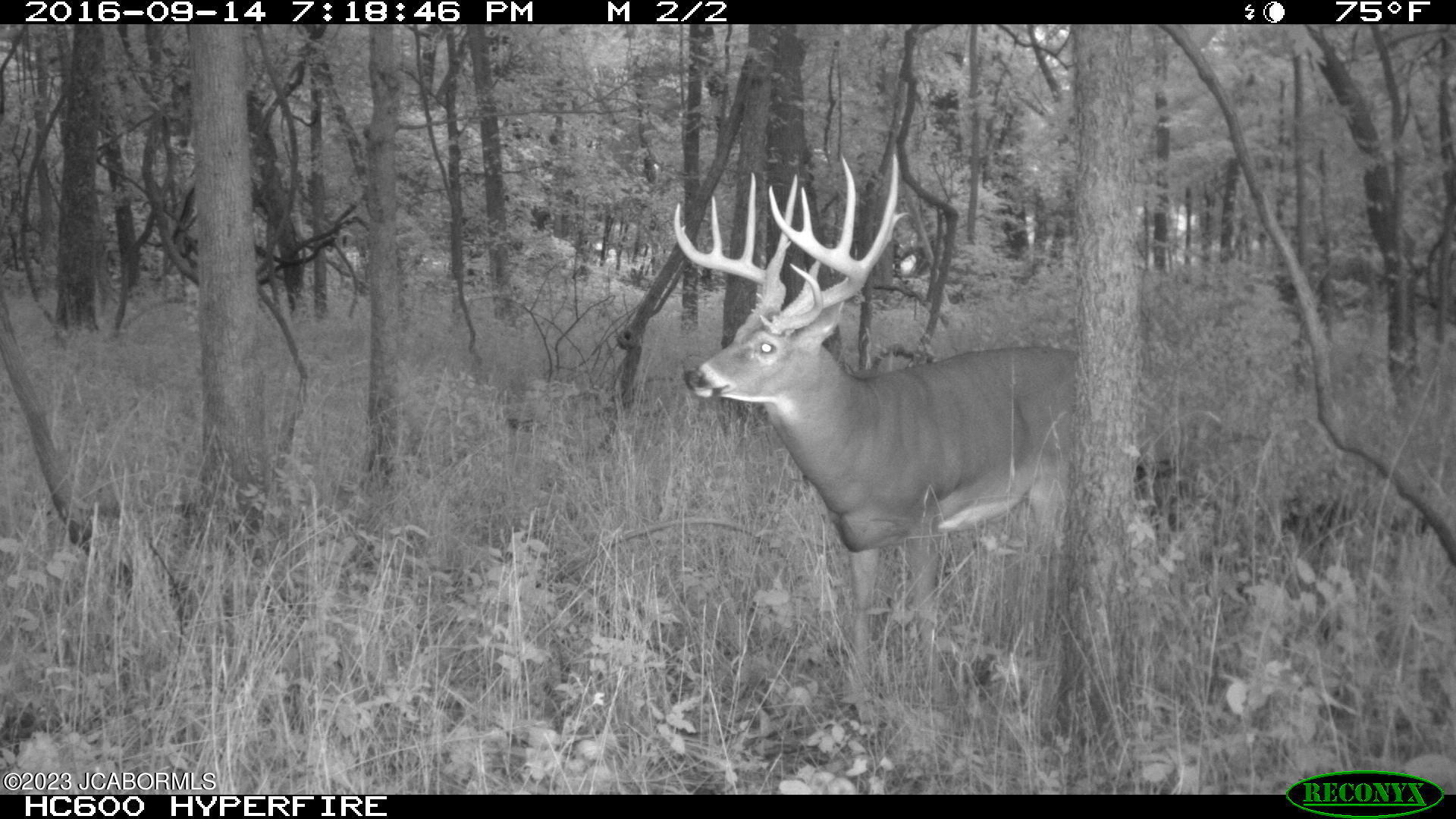 Tbd Big Lick Road Boonville, MO 65233 - Photo 43 of 59