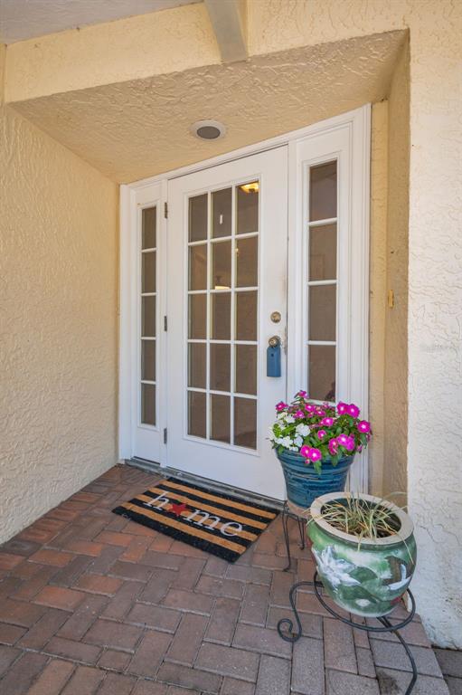 520 Sandy Hook Road Palm Harbor, FL 34683 - Photo 6 of 76