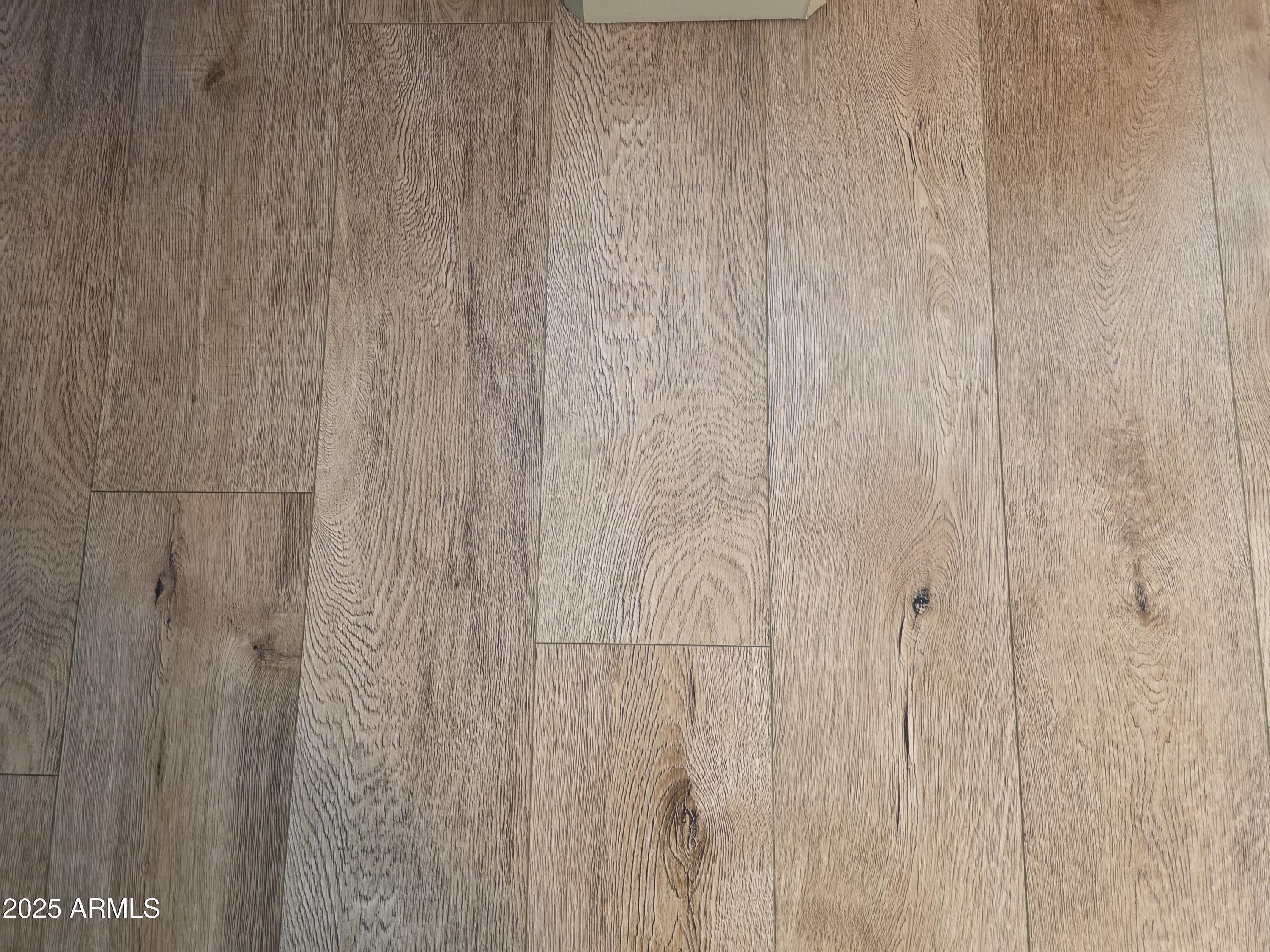 2359 East Pima Avenue Apache Junction, AZ 85119 - Photo 21 of 24 a close view of shower tap