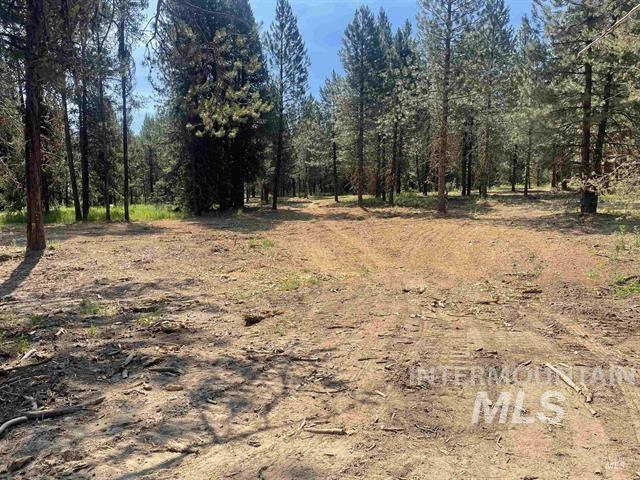 Lot 2-3 Timber Haven Place Cascade, ID 83611 - Photo 17 of 21