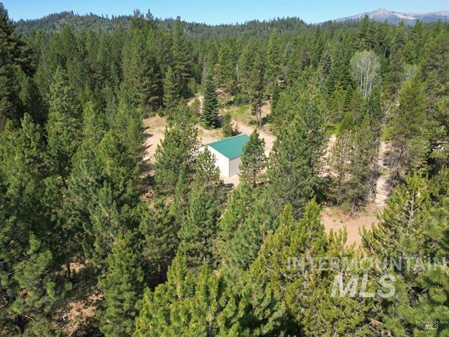 Lot 2-3 Timber Haven Place Cascade, ID 83611 - Photo 6 of 21