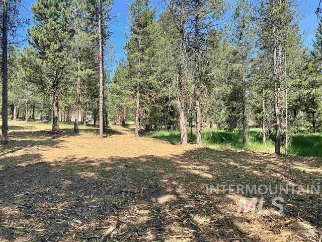 Lot 2-3 Timber Haven Place Cascade, ID 83611 - Photo 8 of 21