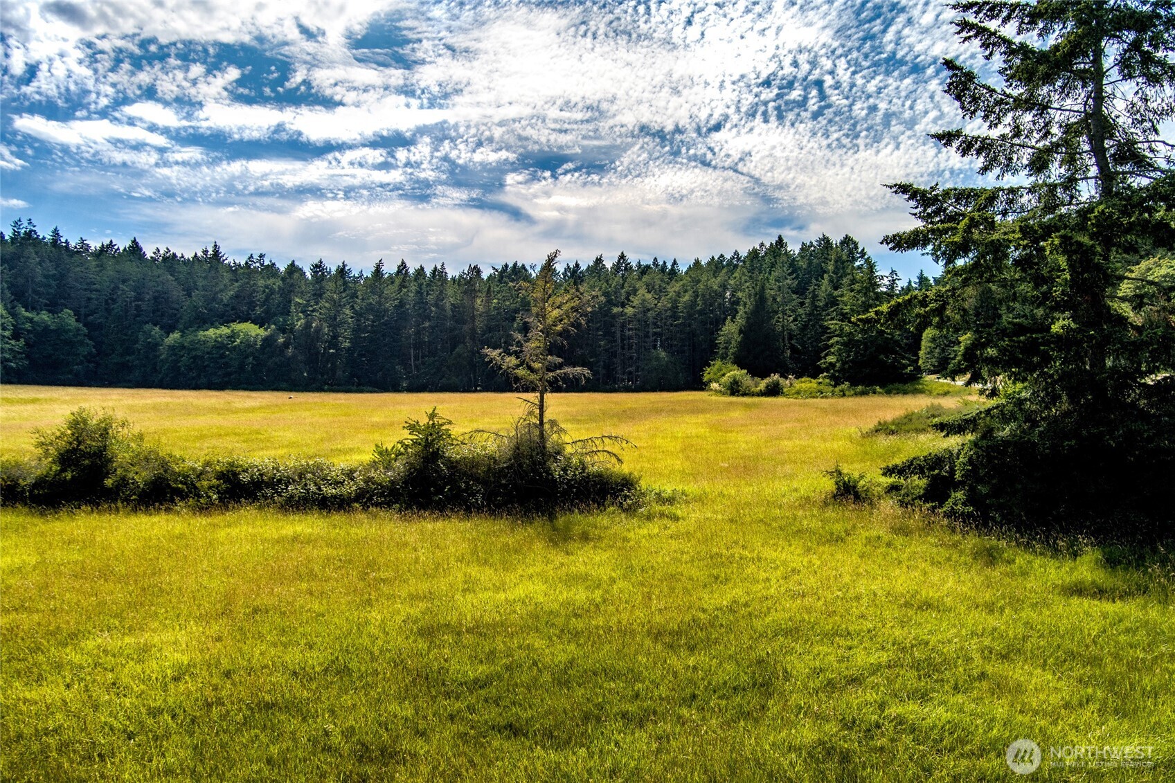 0 Turn Point Road Friday Harbor, WA 98250 - Photo 7 of 15