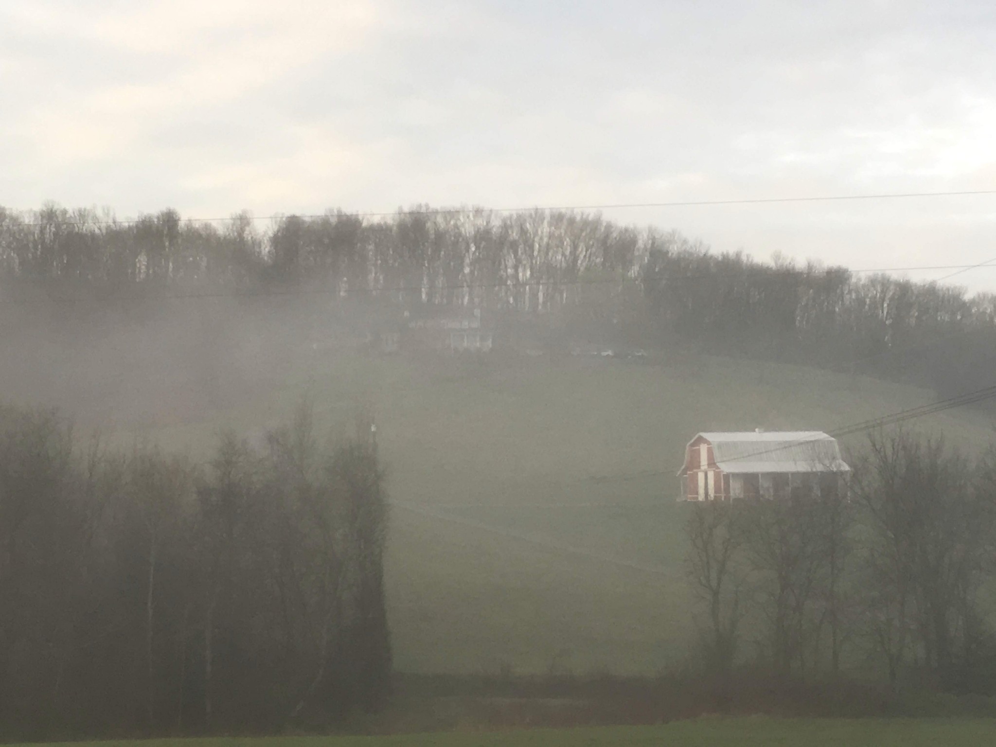 2909 Beulah Church Road Arrington, TN 37014 - Photo 5 of 50 Gallery Image 5