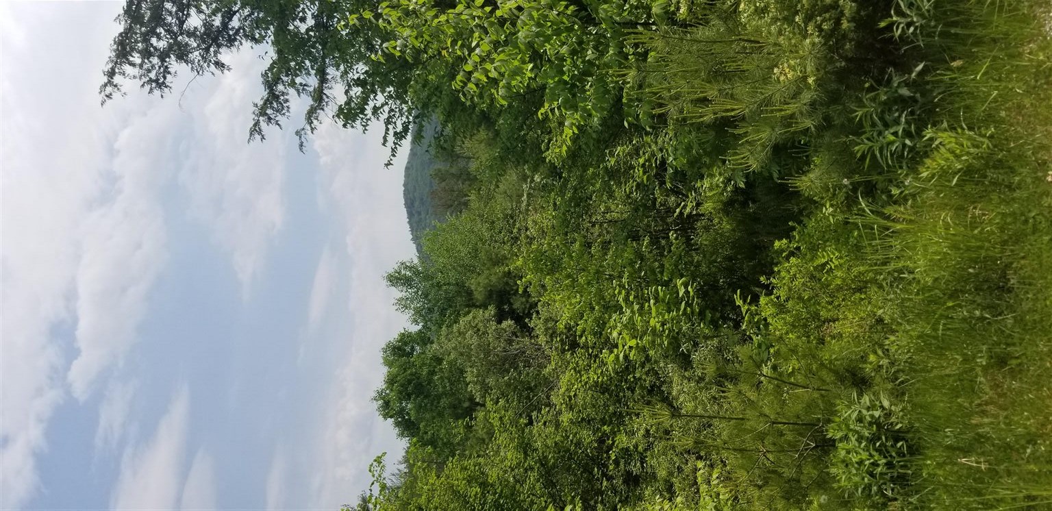 0 Remington Road, Unit LOT 13 Chester, VT 05143 - Photo 5 of 5