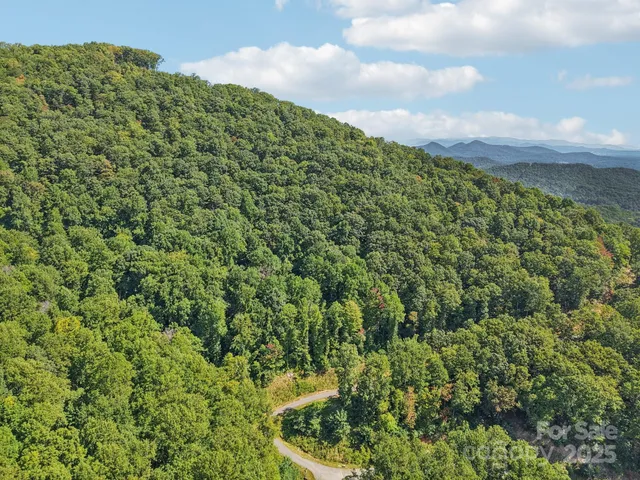 a view of a green field with lots of bushes