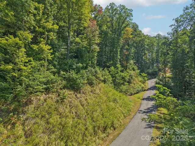 a view of a garden with plants
