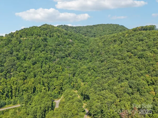 a view of a green field with lots of bushes