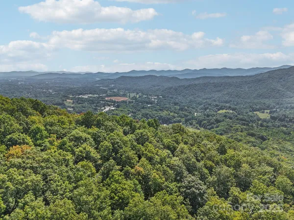 a view of a city with lush green forest