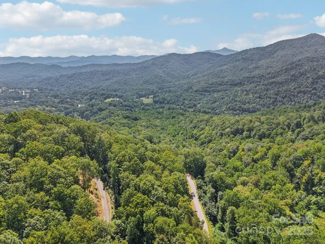a view of a lush green hillside and a mountain