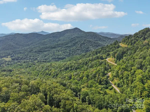 a view of a dry yard