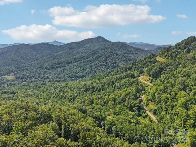 a view of a dry yard