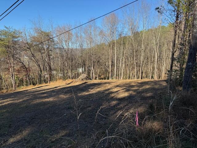 Lot 22 Moon Circle Spring City, TN 37381 - Photo 2 of 7 IMG_0481