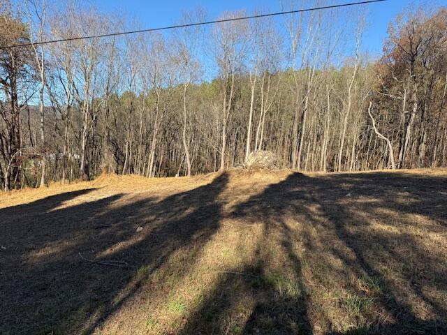 Lot 22 Moon Circle Spring City, TN 37381 - Photo 3 of 7 IMG_0482