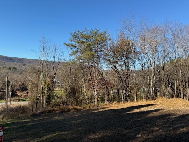 Lot 22 Moon Circle Spring City, TN 37381 - Photo 4 of 7 IMG_0483