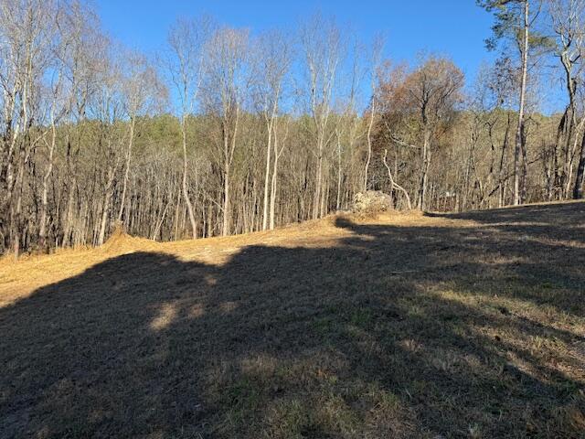 Lot 22 Moon Circle Spring City, TN 37381 - Photo 5 of 7 IMG_0484