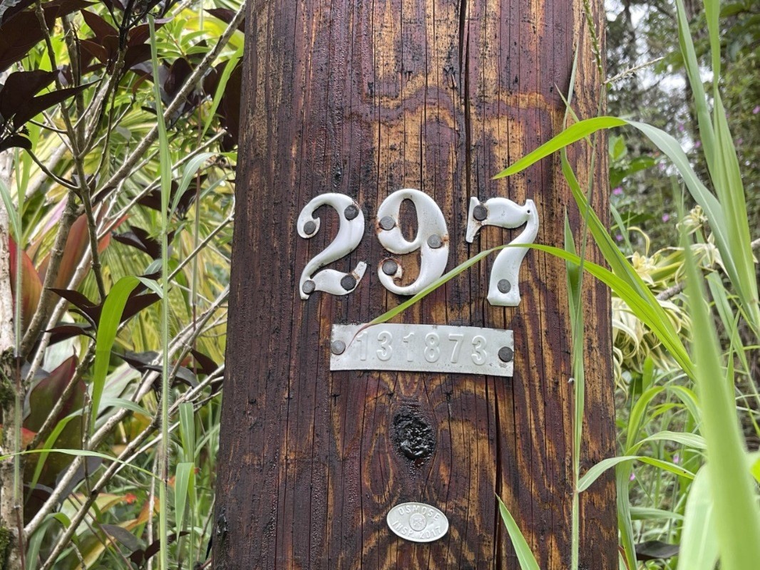 84 Forest Road Pahoa, HI 96778 - Photo 2 of 3 Gallery Image 2