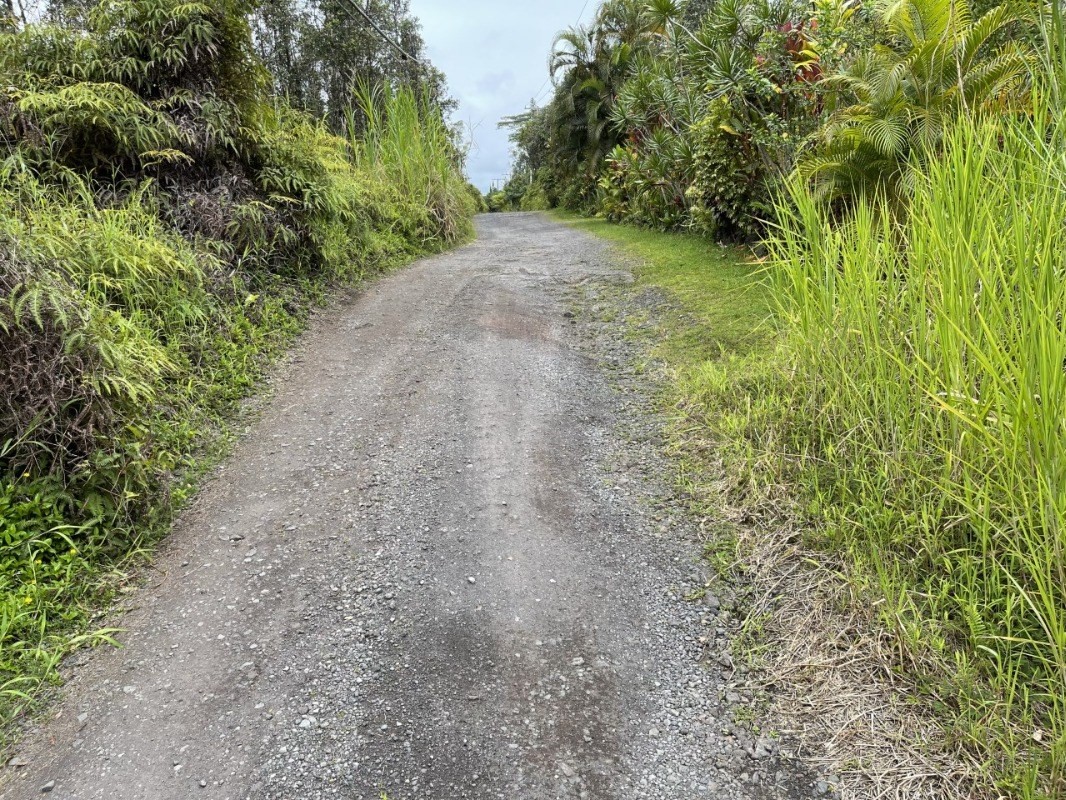 84 Forest Road Pahoa, HI 96778 - Photo 3 of 3 Gallery Image 3