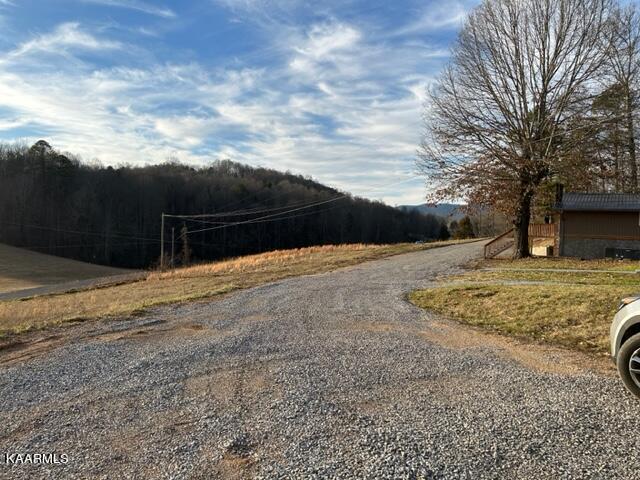 Robertson Hill Rd Road Speedwell, TN 37870 - Photo 3 of 6 Robertson hill 3