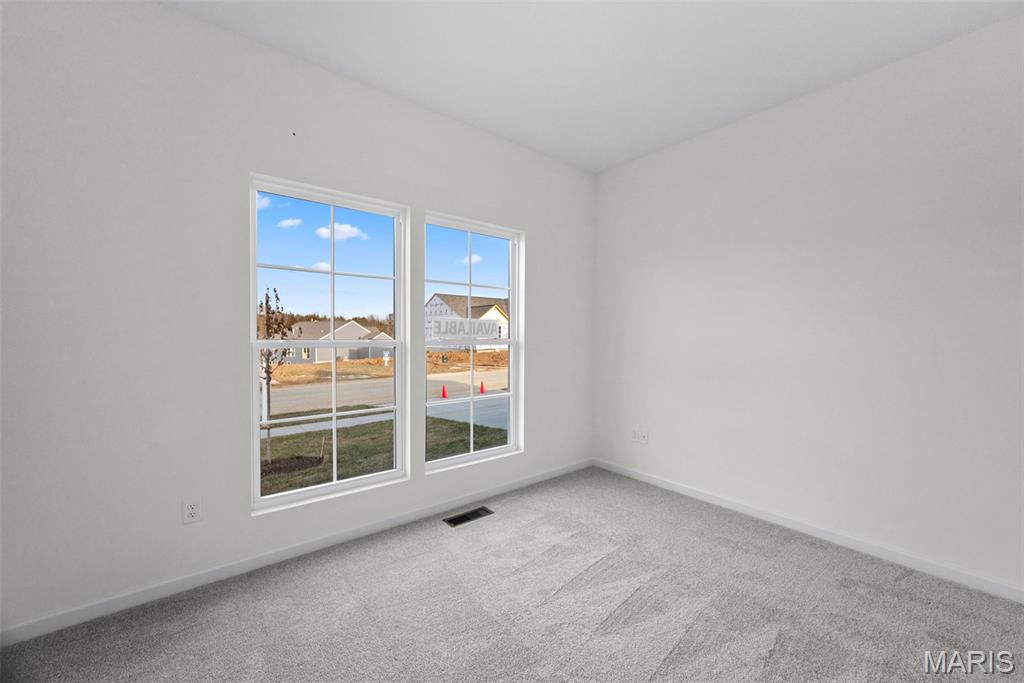 1 Tbb Savoy @ Pinckney Ridge Warrenton, MO 63383 - Photo 20 of 36