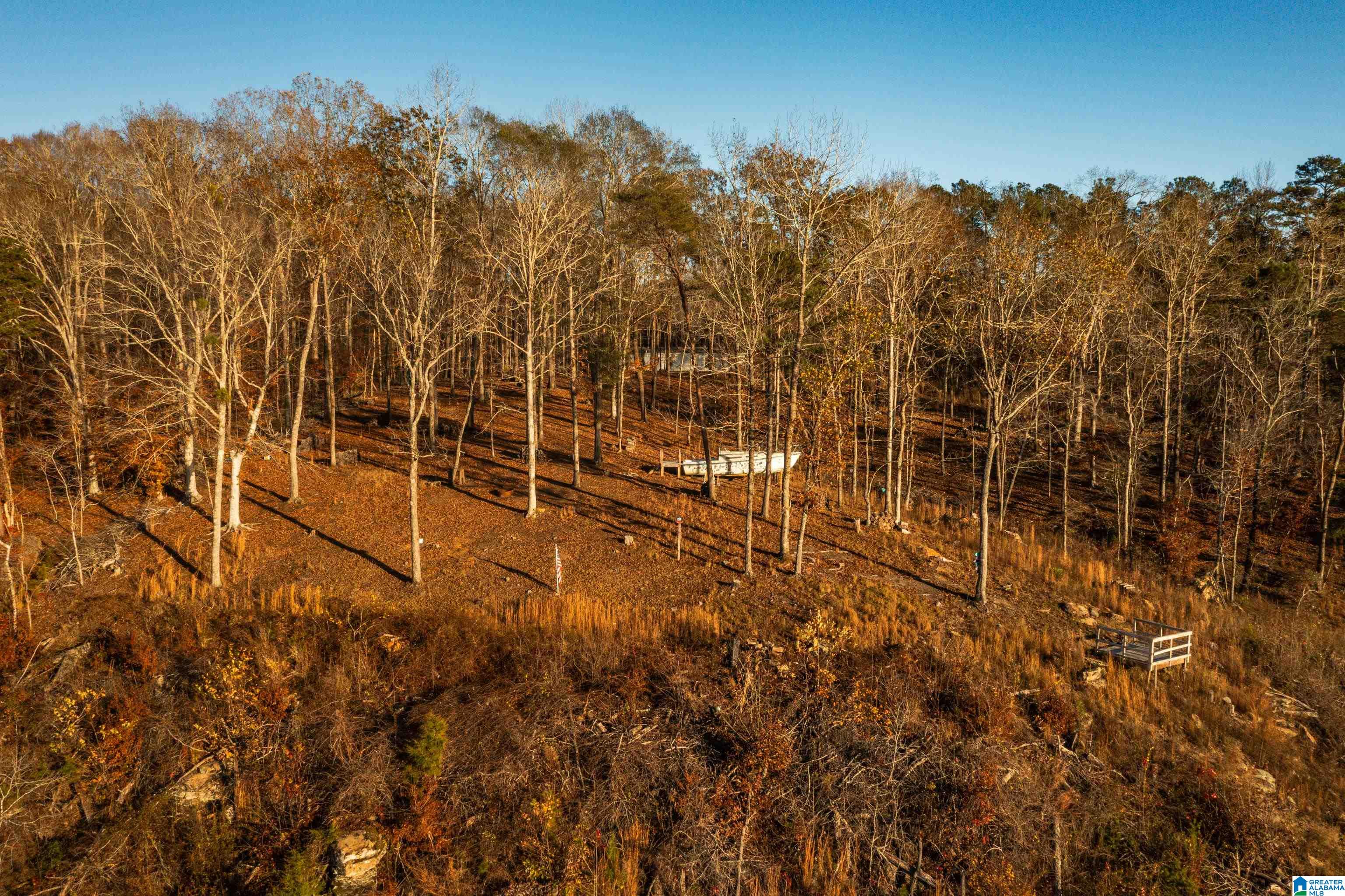 191 Warrior River Highlands Road Adger, AL 35006 - Photo 80 of 81