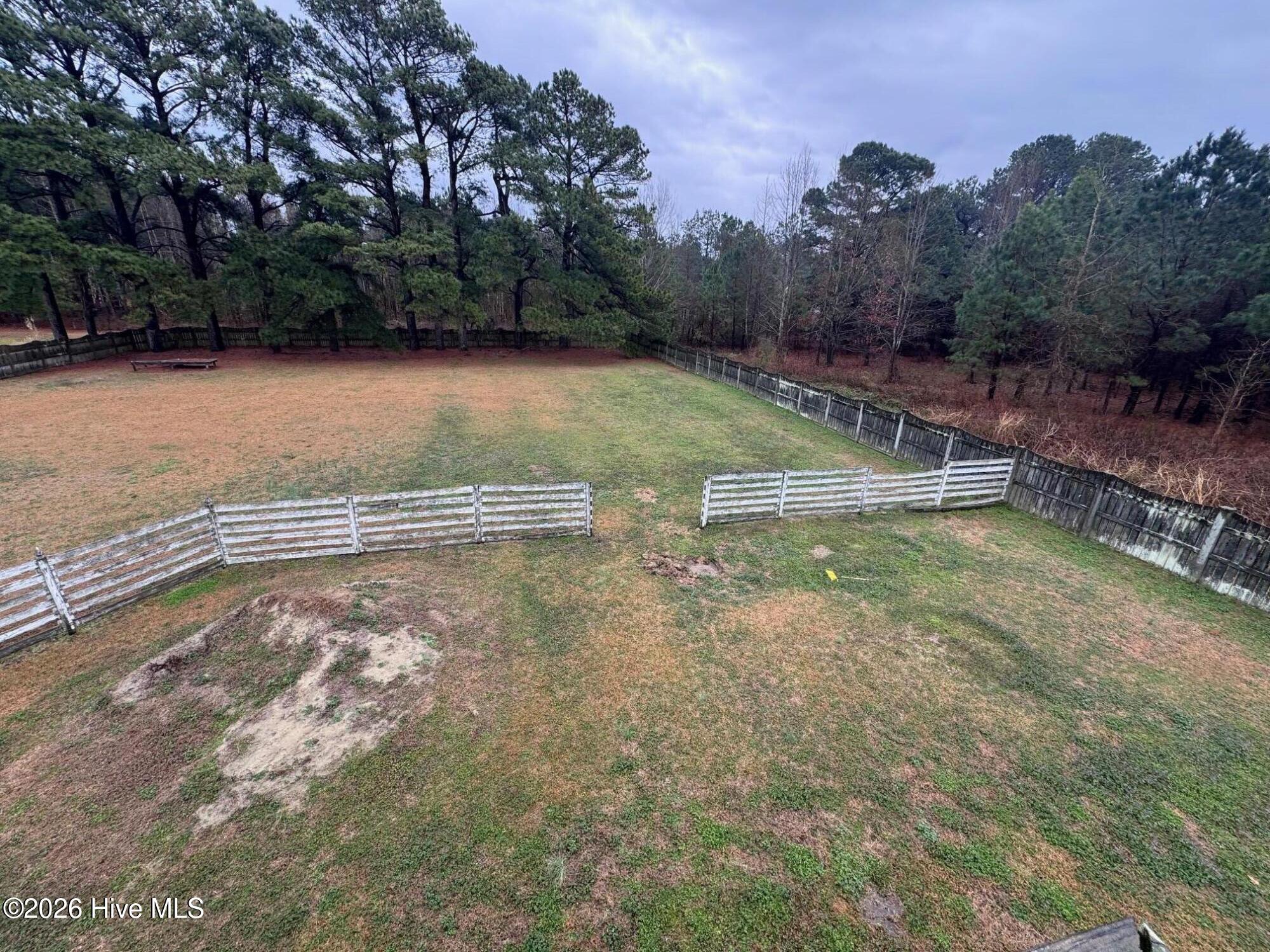 102 Emerald Lane Roper, NC 27970 - Photo 48 of 49 actual back yard