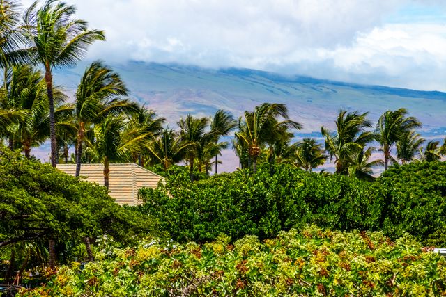 $880,000 | 69-555 Waikoloa Beach Drive, Unit 2206, Waikoloa, HI 96738