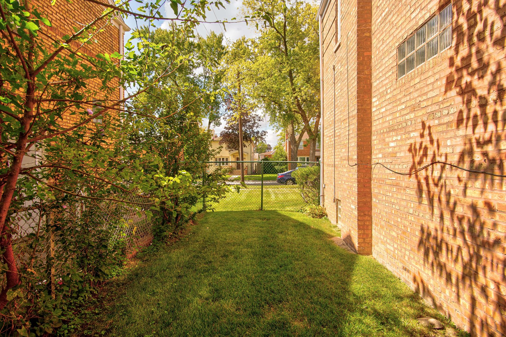 2441 Clarke Street River Grove, IL 60171 - Photo 23 of 25 a view of yard with trees