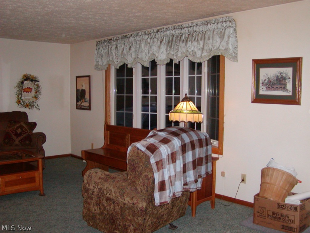 7330 Clark Road Atwater, OH 44201 - Photo 3 of 18