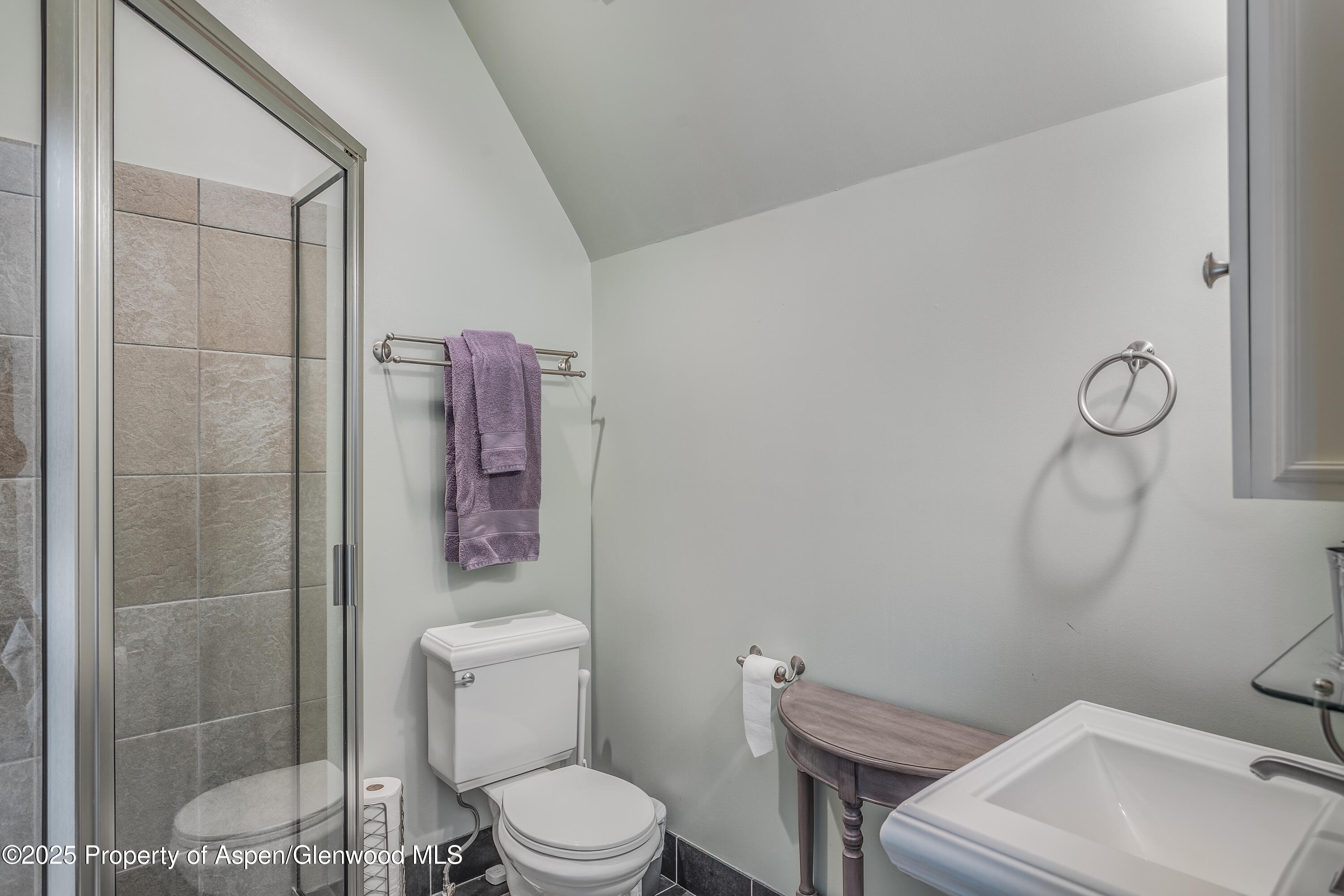 42 Midland Loop Carbondale, CO 81623 - Photo 43 of 51 42 Midland loop - 2nd bedroom bath1