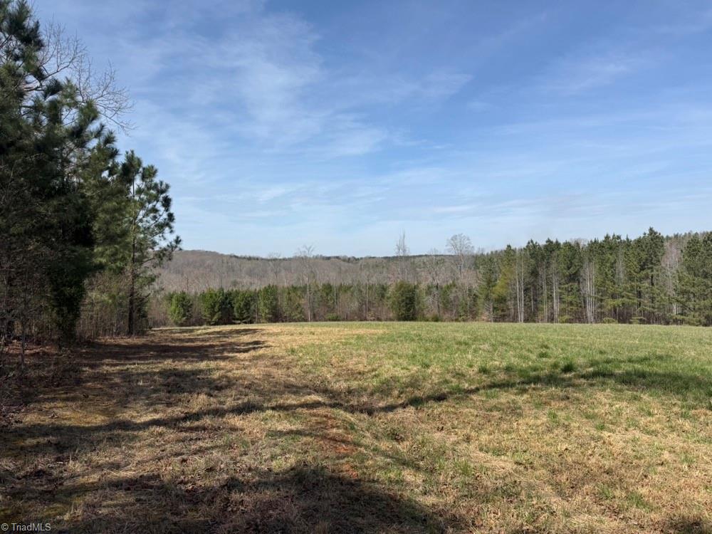 508 New Lebanon Church Road Reidsville, NC 27320 - Photo 26 of 35