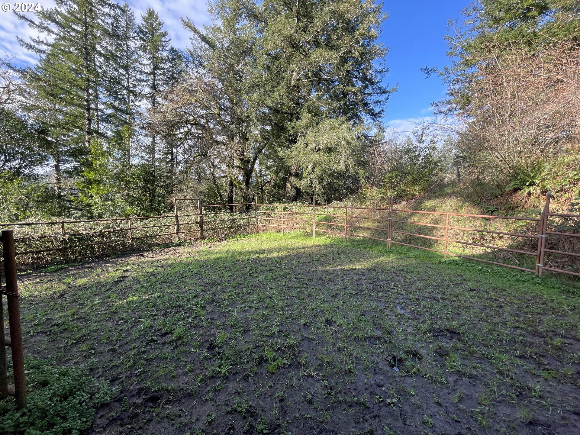 17676 Gardner Ridge Road Brookings, OR 97415 - Photo 36 of 42 a view of a yard with large trees